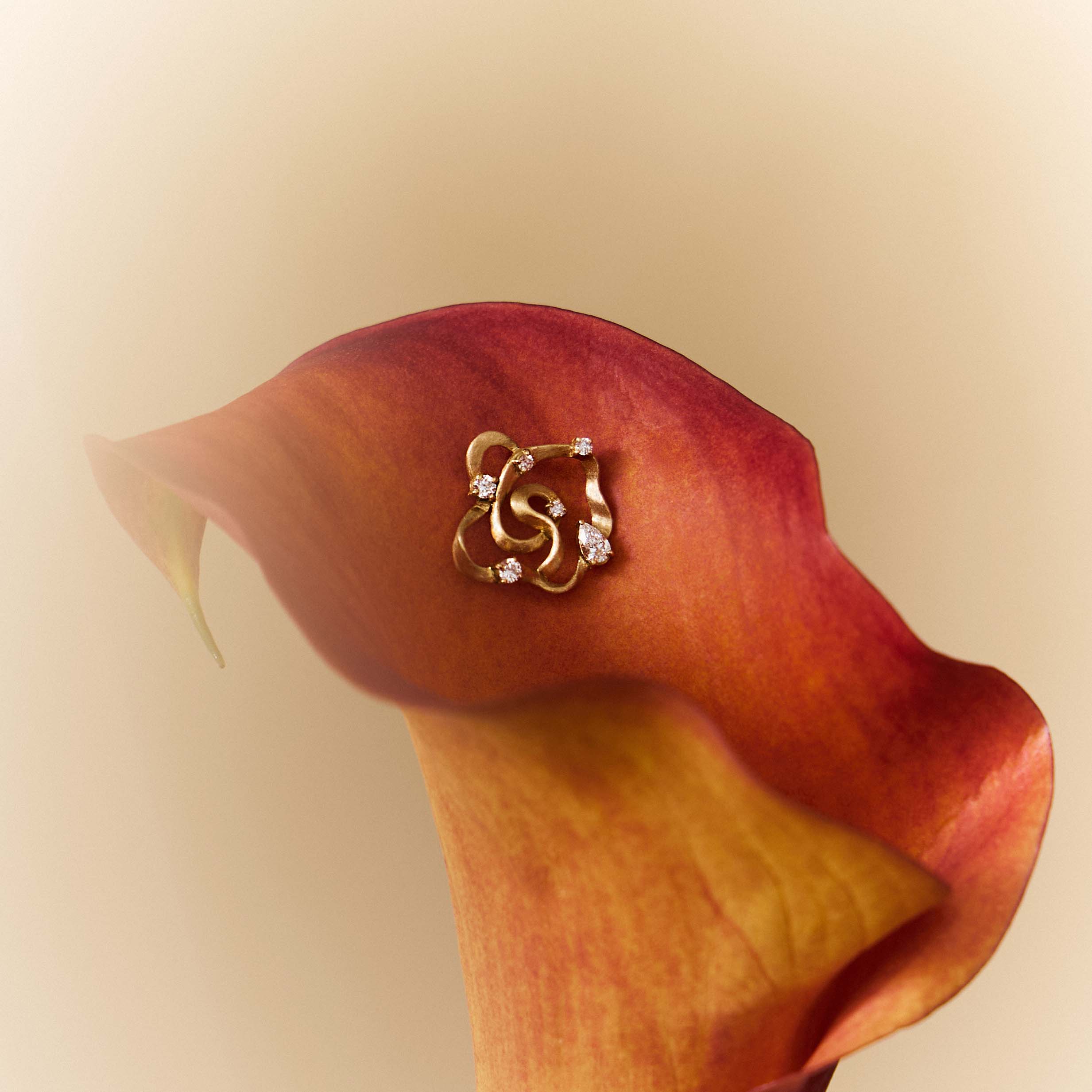 The Rosette Collection