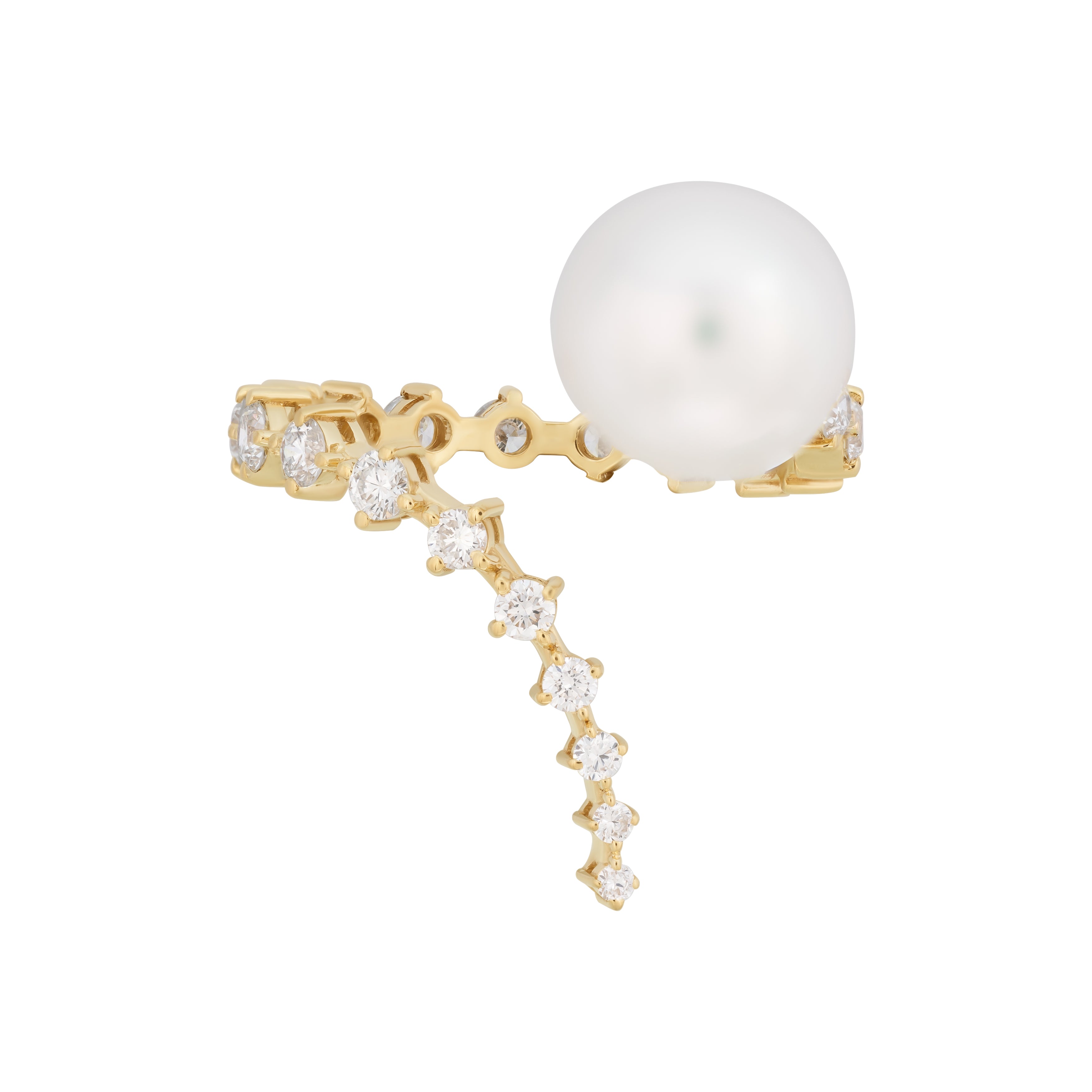 STARDUST ORBIT RING